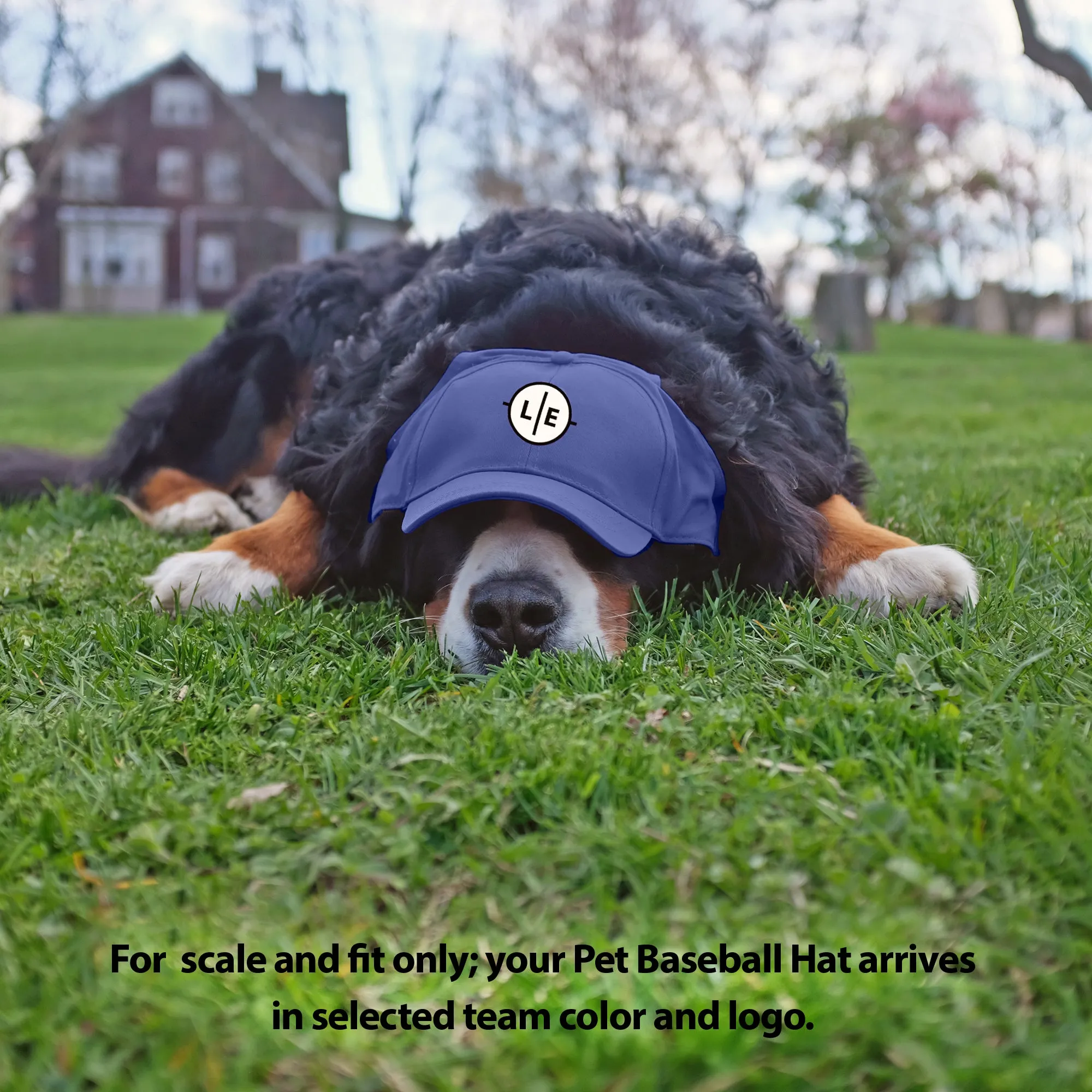 Chicago Bears Pet Baseball Hat