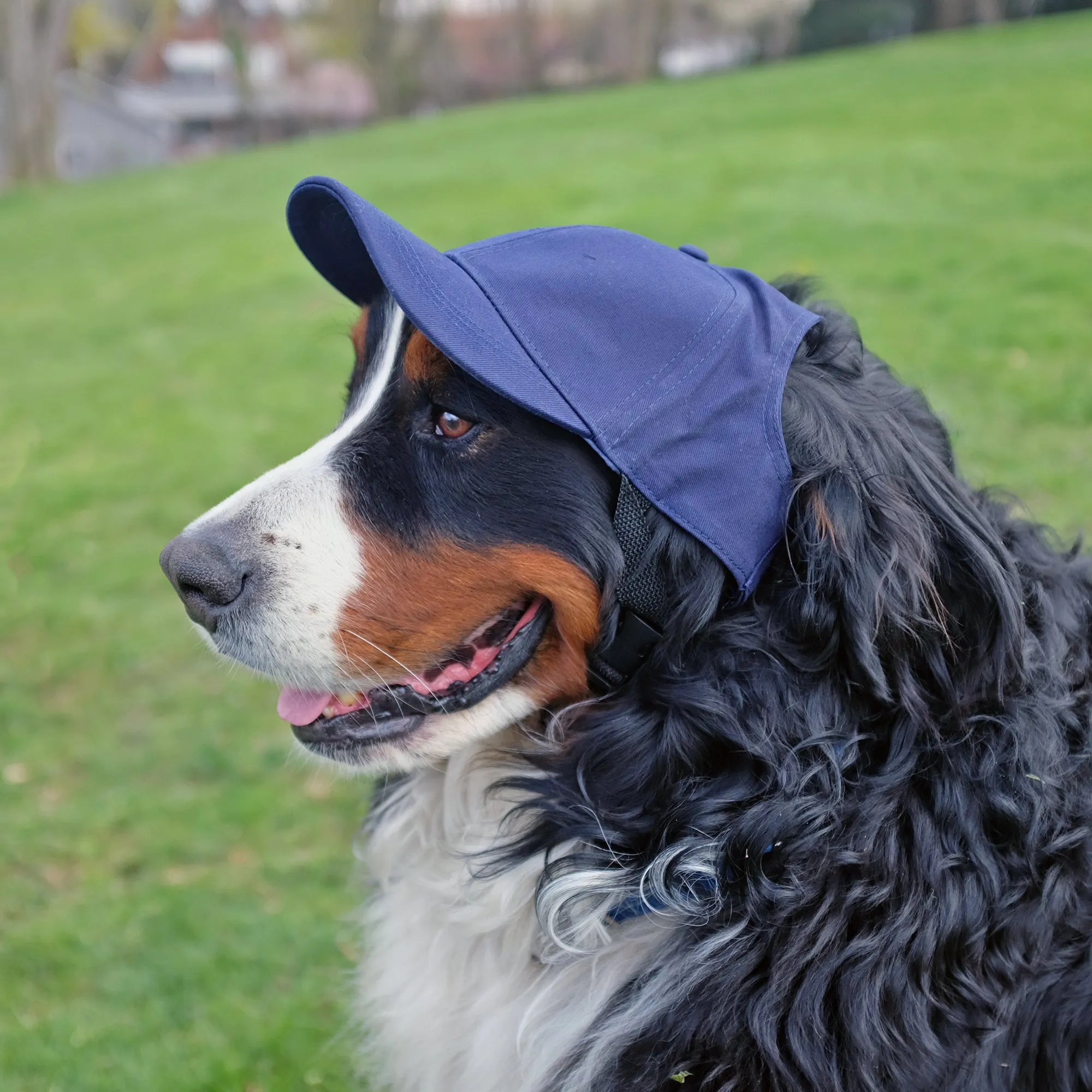 Chicago Bears Pet Baseball Hat