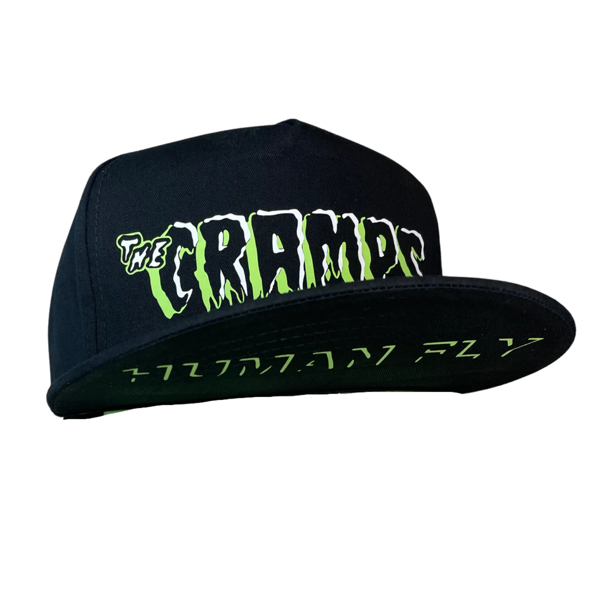 Human Fly Hat