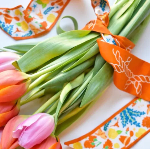 UT Twilly Scarf